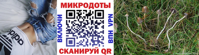 где продают наркотики  Агрыз  Галлюциногенные грибы мицелий 