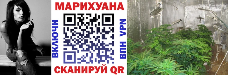 блэк спрут онион  Агрыз  Марихуана Bruce Banner  купить  